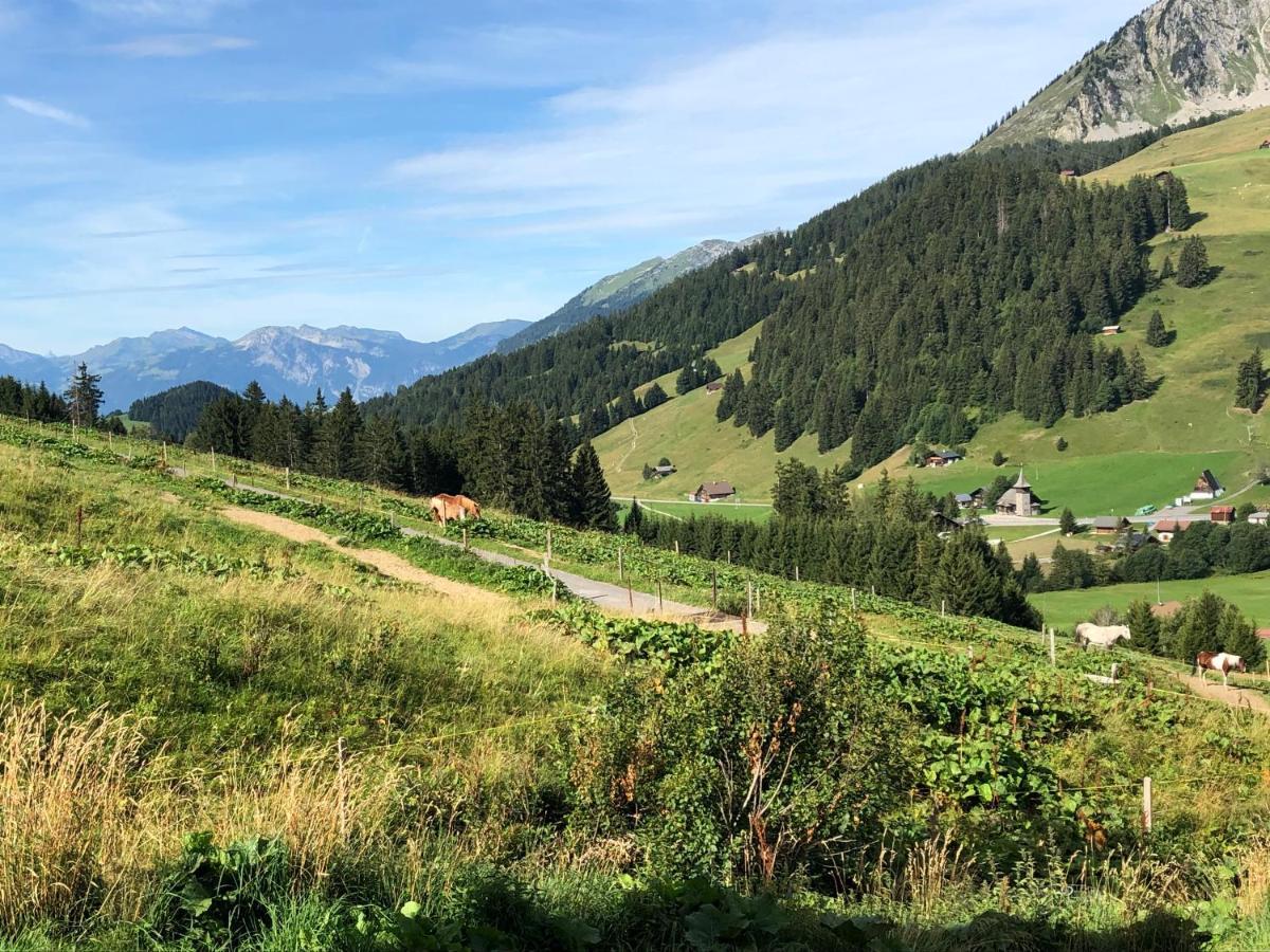 Alpine Dream Chalet With Spa Close To Lake Geneva Les Mosses Εξωτερικό φωτογραφία